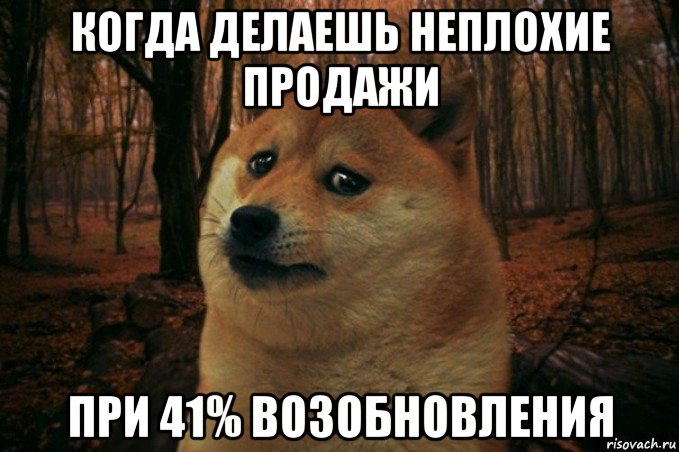 когда делаешь неплохие продажи при 41% возобновления, Мем SAD DOGE