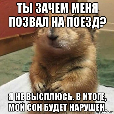 ты зачем меня позвал на поезд? я не высплюсь. в итоге, мой сон будет нарушен., Мем Суслик спрашивает