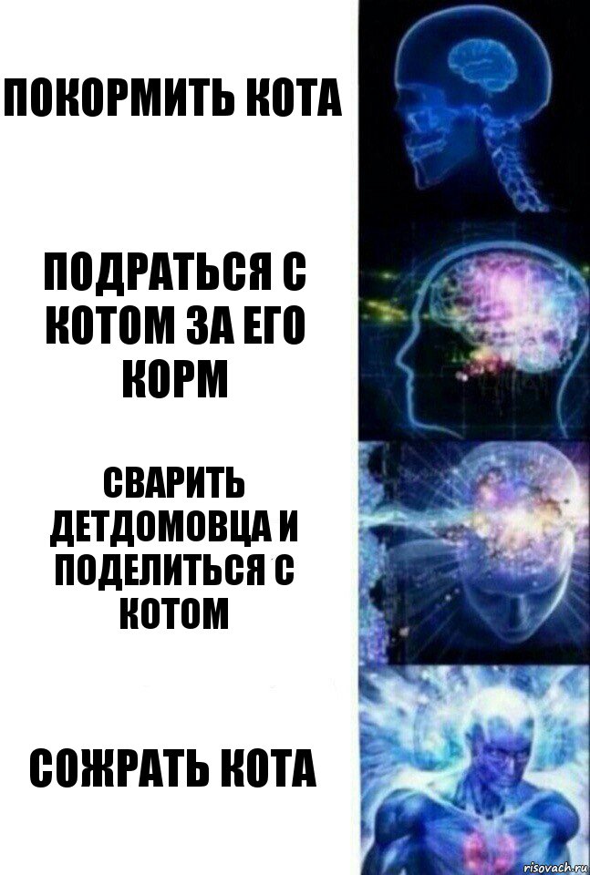 Покормить кота Подраться с котом за его корм Сварить детдомовца и поделиться с котом Сожрать кота, Комикс  Сверхразум