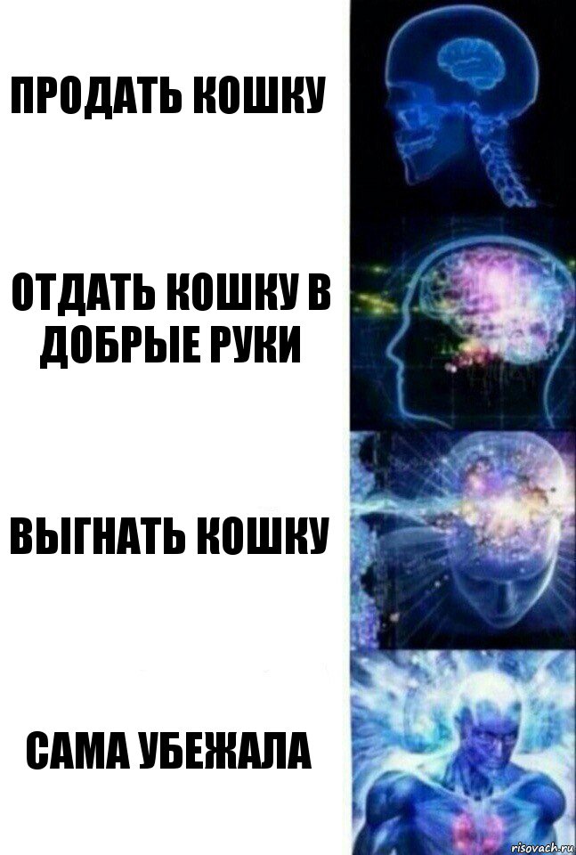 продать кошку отдать кошку в добрые руки выгнать кошку сама убежала, Комикс  Сверхразум