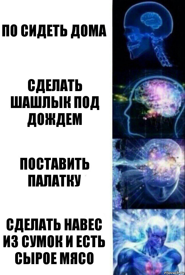 по сидеть дома сделать шашлык под дождем поставить палатку сделать навес из сумок и есть сырое мясо, Комикс  Сверхразум