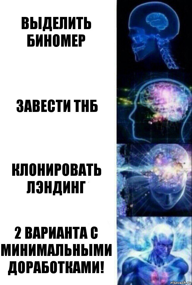 Выделить биномер Завести ТнБ Клонировать лэндинг 2 варианта с минимальными доработками!, Комикс  Сверхразум