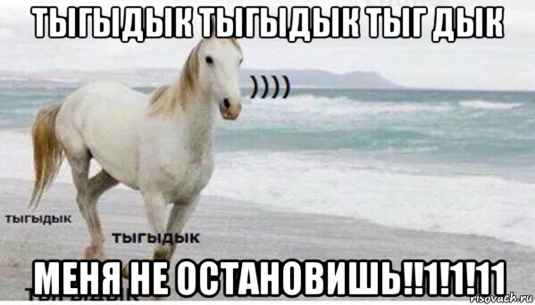 тыгыдык тыгыдык тыг дык меня не остановишь!!1!1!11, Мем   Тыгыдык