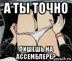 а ты точно пишешь на ассемблере?