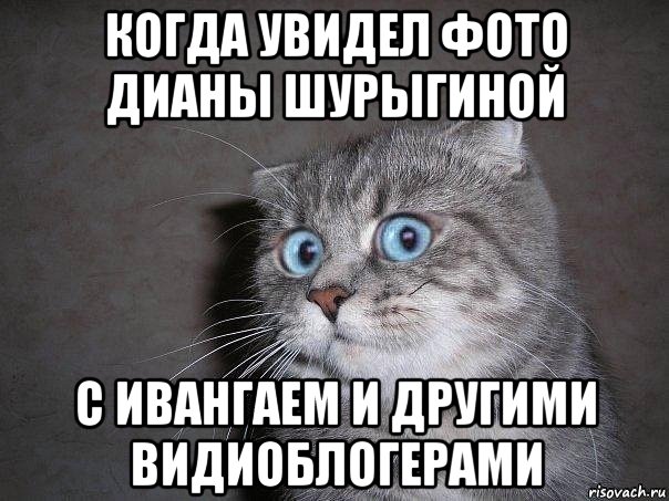 когда увидел фото дианы шурыгиной с ивангаем и другими видиоблогерами, Мем  удивлённый кот