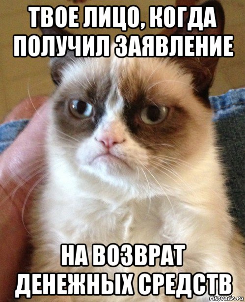 твое лицо, когда получил заявление на возврат денежных средств, Мем Угрюмый кот