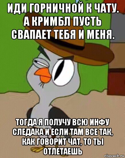 иди горничной к чату. а кримбл пусть свапает тебя и меня. тогда я получу всю инфу следака и если там все так, как говорит чат, то ты отлетаешь, Мем    Упоротая сова