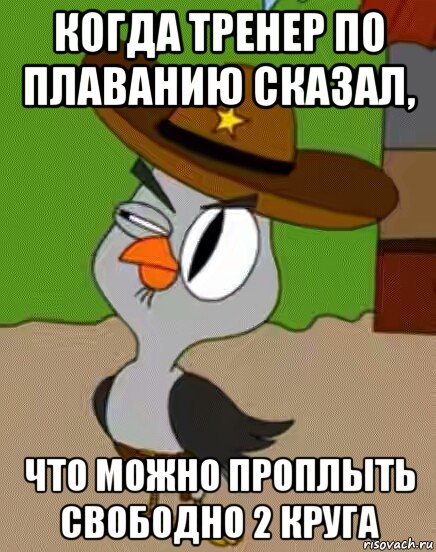 когда тренер по плаванию сказал, что можно проплыть свободно 2 круга, Мем    Упоротая сова