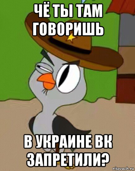 чё ты там говоришь в украине вк запретили?, Мем    Упоротая сова