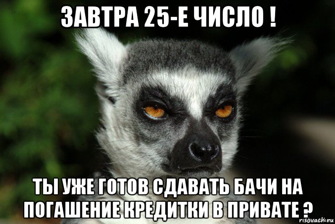 завтра 25-е число ! ты уже готов сдавать бачи на погашение кредитки в привате ?