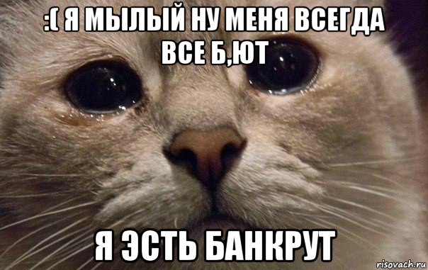 :( я мылый ну меня всегда все б,ют я эсть банкрут, Мем   В мире грустит один котик