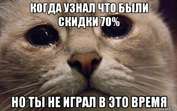 когда узнал что были скидки 70% но ты не играл в это время, Мем   В мире грустит один котик