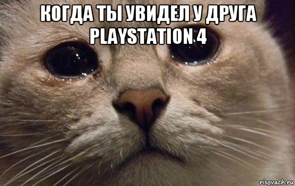 когда ты увидел у друга playstation 4 , Мем   В мире грустит один котик