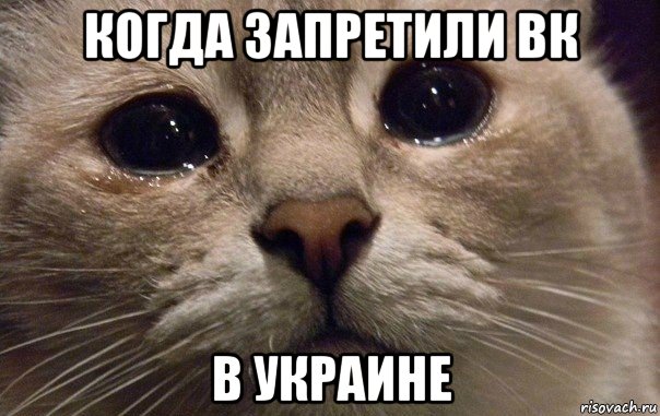 когда запретили вк в украине, Мем   В мире грустит один котик