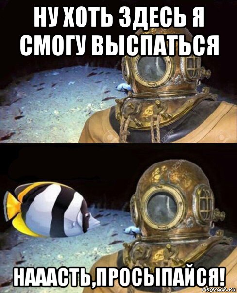 ну хоть здесь я смогу выспаться нааасть,просыпайся!