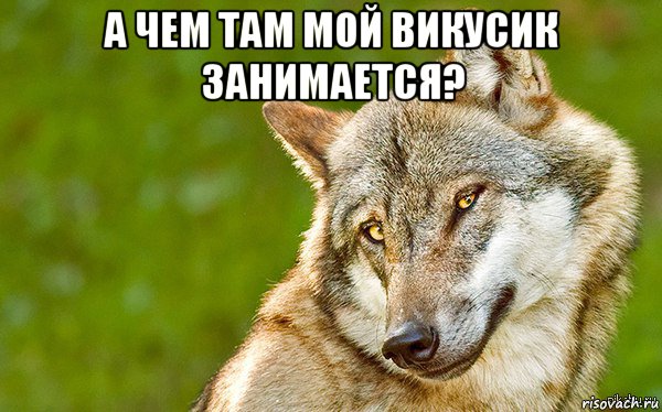 а чем там мой викусик занимается? , Мем   Volf