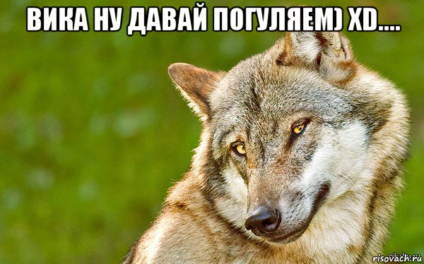 вика ну давай погуляем) xd.... , Мем   Volf