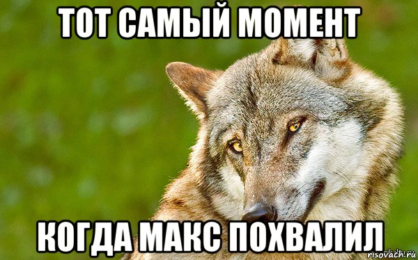 тот самый момент когда макс похвалил, Мем   Volf