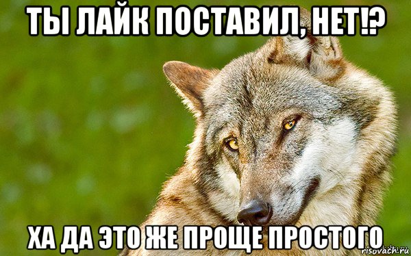 ты лайк поставил, нет!? ха да это же проще простого, Мем   Volf