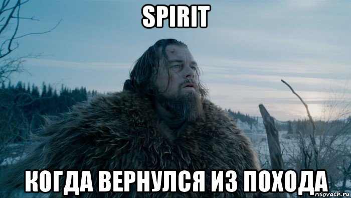 spirit когда вернулся из похода, Мем Выживший