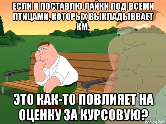 если я поставлю лайки под всеми птицами, которых выкладыввает км, это как-то повлияет на оценку за курсовую?, Мем Задумчивый Гриффин