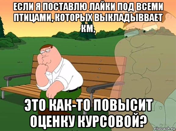 если я поставлю лайки под всеми птицами, которых выкладыввает км, это как-то повысит оценку курсовой?, Мем Задумчивый Гриффин