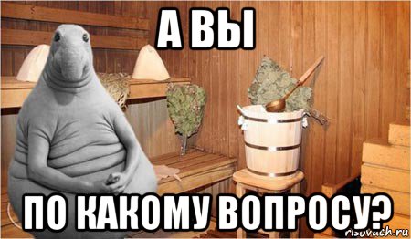 а вы по какому вопросу?