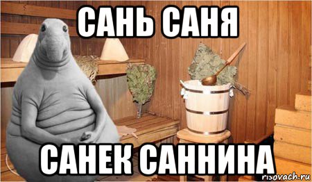 сань саня санек саннина