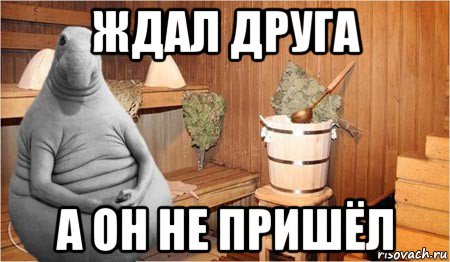 ждал друга а он не пришёл