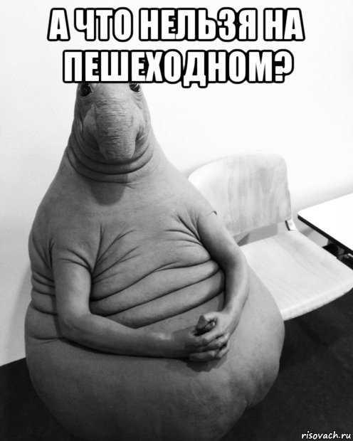 а что нельзя на пешеходном? , Мем  Ждун