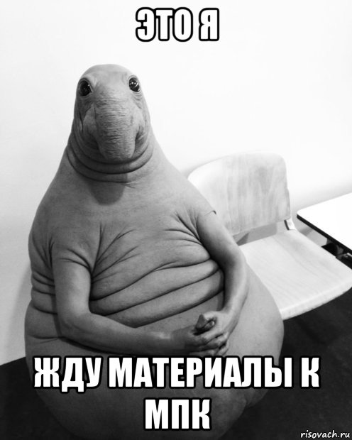 это я жду материалы к мпк, Мем  Ждун