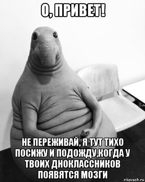 о, привет! не переживай, я тут тихо посижу и подожду,когда у твоих дноклассников появятся мозги, Мем  Ждун