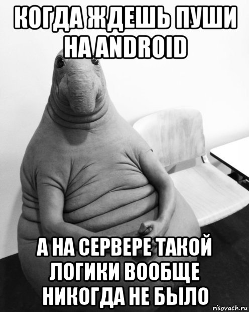 когда ждешь пуши на android а на сервере такой логики вообще никогда не было, Мем  Ждун