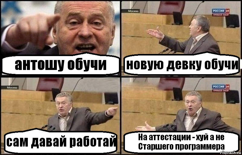 антошу обучи новую девку обучи сам давай работай На аттестации - хуй а не Старшего программера, Комикс Жириновский