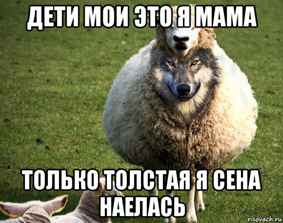 дети мои это я мама только толстая я сена наелась, Мем Злая Овца