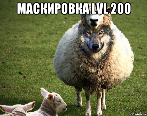 маскировка lvl 200 , Мем Злая Овца