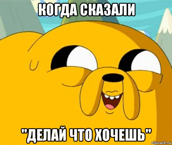 когда сказали "делай что хочешь", Мем  Adventure time