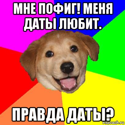 мне пофиг! меня даты любит. правда даты?, Мем Advice Dog