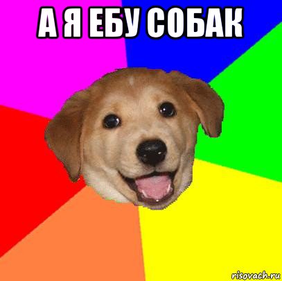 а я ебу собак , Мем Advice Dog