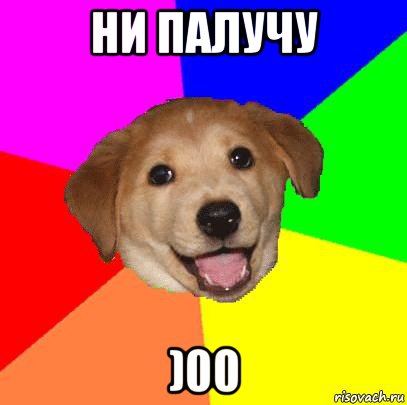 ни палучу )00, Мем Advice Dog