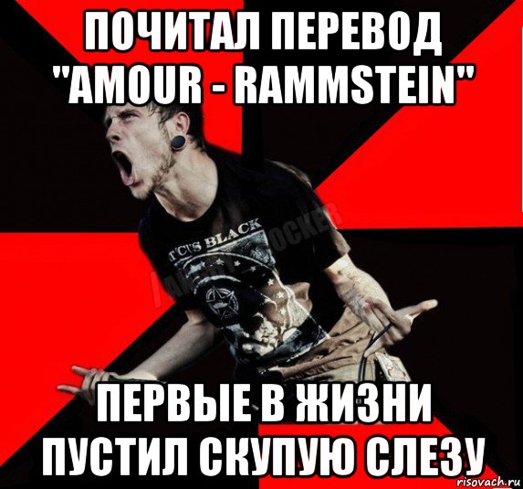 почитал перевод "amour - rammstein" первые в жизни пустил скупую слезу, Мем Агрессивный рокер