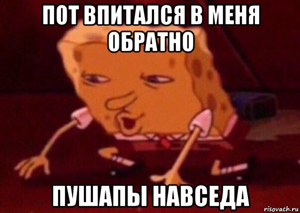 пот впитался в меня обратно пушапы навседа, Мем    Bettingmemes