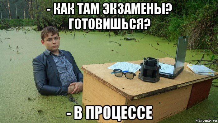 - как там экзамены? готовишься? - в процессе, Мем  Парень сидит в болоте