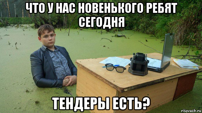 что у нас новенького ребят сегодня тендеры есть?, Мем  Парень сидит в болоте