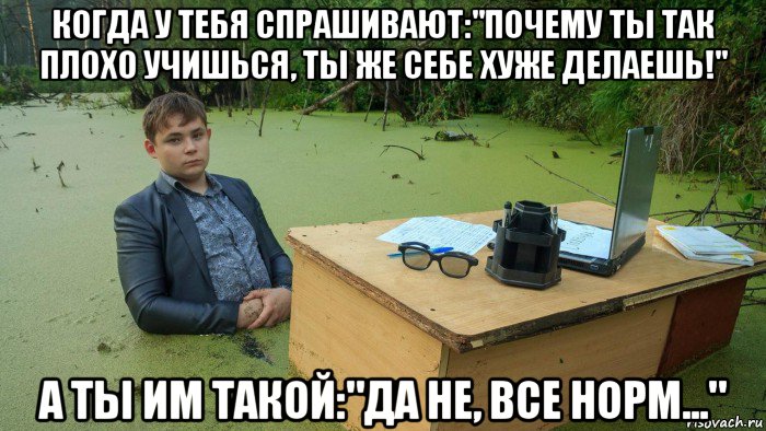 когда у тебя спрашивают:"почему ты так плохо учишься, ты же себе хуже делаешь!" а ты им такой:"да не, все норм...", Мем  Парень сидит в болоте