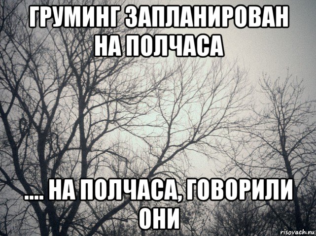 груминг запланирован на полчаса .... на полчаса, говорили они, Мем  будет весело говорили они