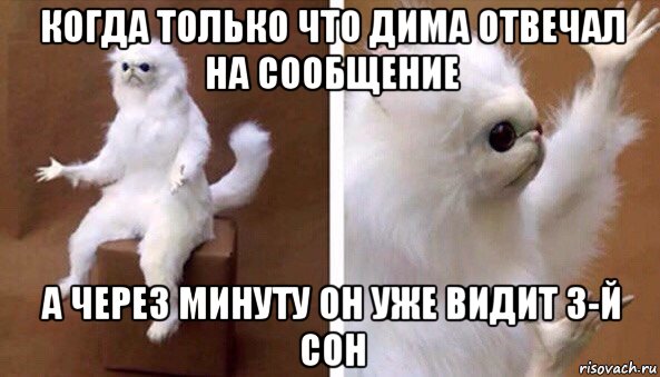 когда только что дима отвечал на сообщение а через минуту он уже видит 3-й сон, Мем Чучело кота