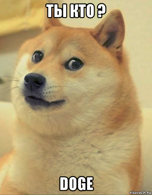 ты кто ? doge, Мем doge woof