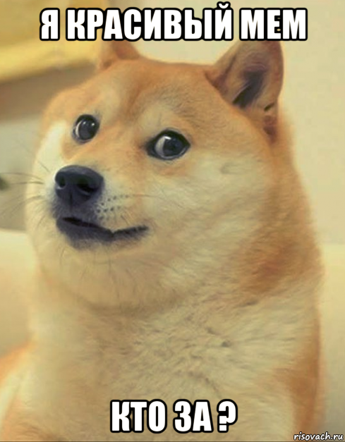 я красивый мем кто за ?, Мем doge woof