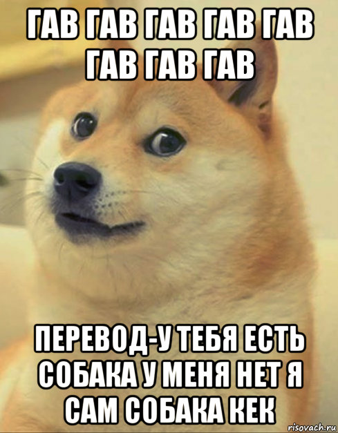 гав гав гав гав гав гав гав гав перевод-у тебя есть собака у меня нет я сам собака кек, Мем doge woof